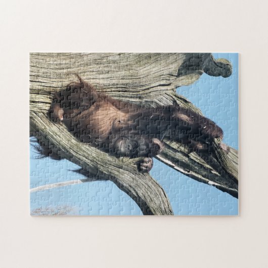 ORANGUTANS LEGPUZZEL (Horizontaal)