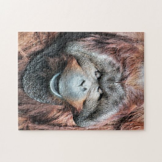 ORANGUTANS LEGPUZZEL (Horizontaal)