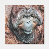 ORANGUTANS MAGNEET (Voorkant)