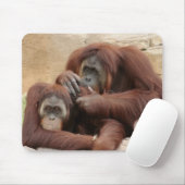 Orangutans Muismat (Met muis)