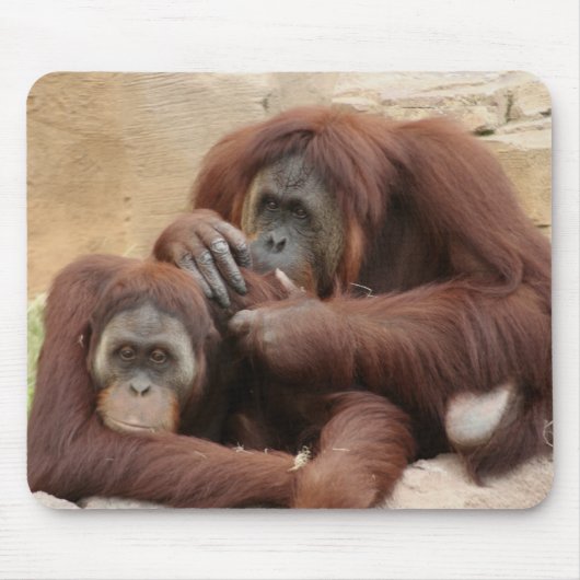 Orangutans Muismat (Voorkant)