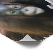 Orangutans Poster (Hoek)