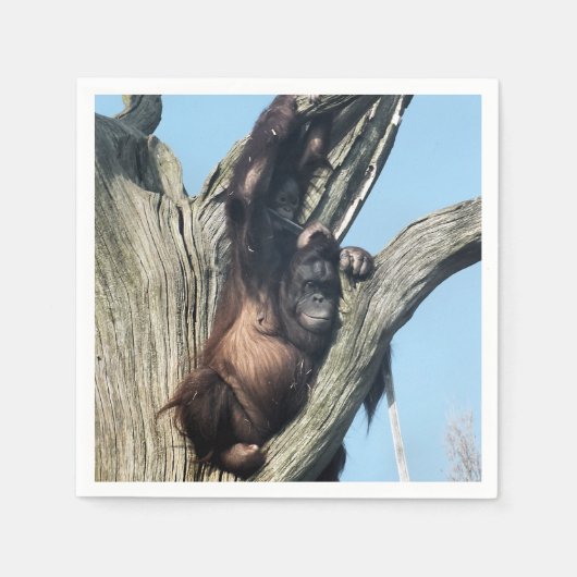 ORANGUTANS SERVETTEN (Voorkant)