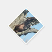 ORANGUTANS SERVETTEN (Hoek)