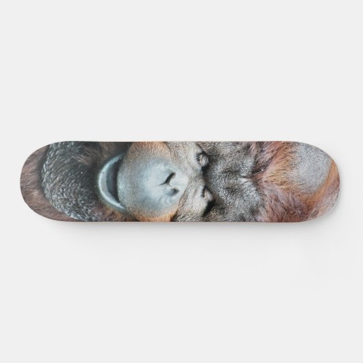 ORANGUTANS SKATEBOARD (Horizontaal)