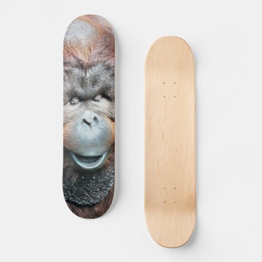 ORANGUTANS SKATEBOARD (Voorkant)