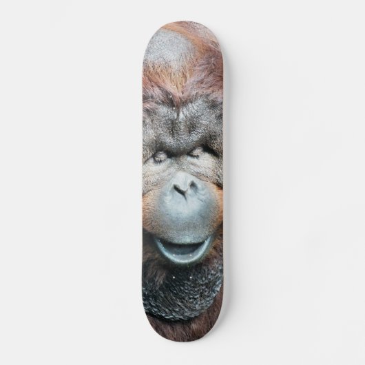 ORANGUTANS SKATEBOARD (Voorkant)