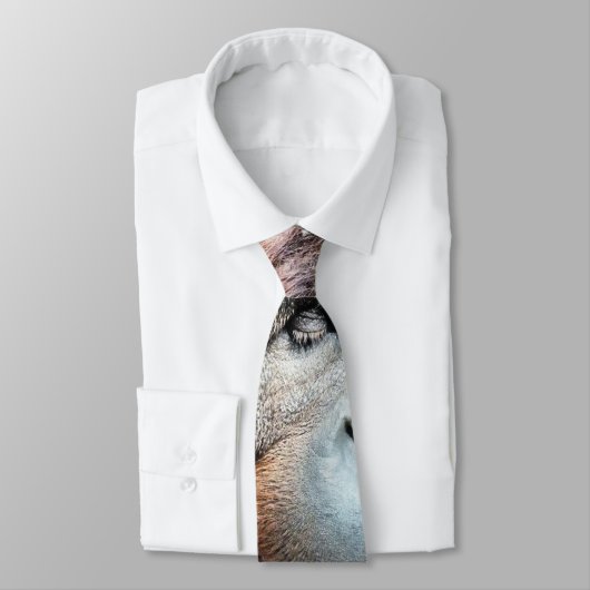 ORANGUTANS STROPDAS (Gebonden)