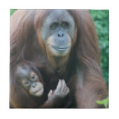 Orangutans Tile Tegeltje (Voorkant)