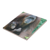 Orangutans Tile Tegeltje (Zijkant)