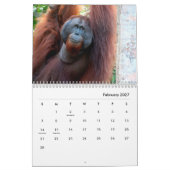 Orangutans Wall Agenda Kalender (Feb 2027)