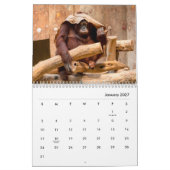 Orangutans Wall Agenda Kalender (Jan 2027)