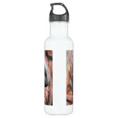 ORANGUTANS WATERFLES  (Achterkant)