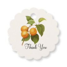  Oranje abrikozen Waterverf Dank u wel