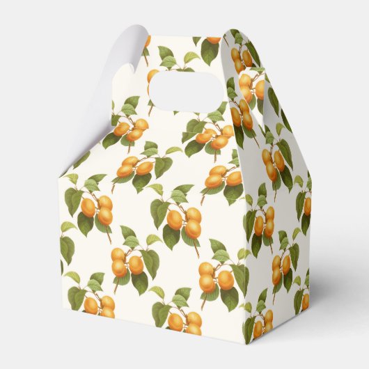 Oranje Abrikozen Waterverf Patroon Bedankdoosjes (Achterkant)