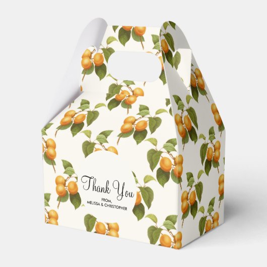 Oranje Abrikozen Waterverf Patroon Bedankdoosjes (Voorkant Zijde)