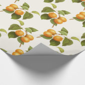  Oranje Abrikozen Waterverf Patroon Cadeaupapier (Hoek)