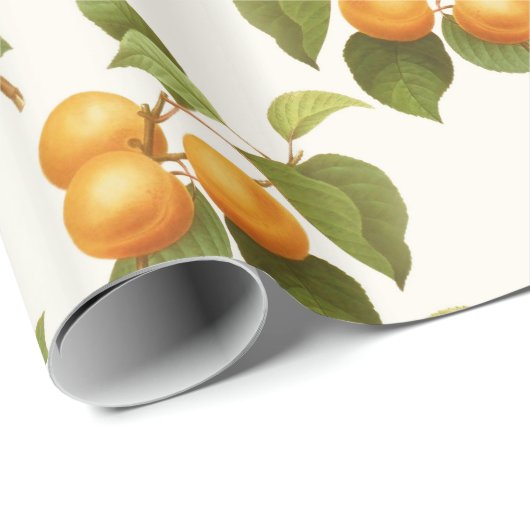  Oranje Abrikozen Waterverf Patroon Cadeaupapier (Rol Hoek)
