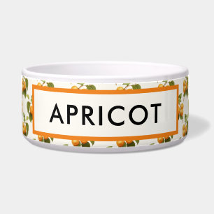  Oranje Abrikozen Waterverf Patroon Voerbakje