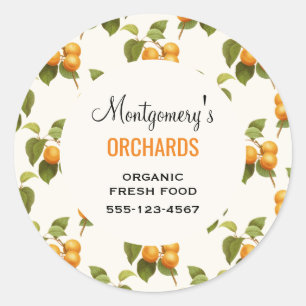  Oranje Abrikozen Waterverf Pattern Business Ronde Sticker