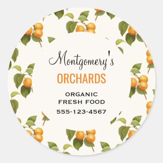  Oranje Abrikozen Waterverf Pattern Business Ronde Sticker (Voorkant)