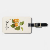 Oranje Abrikozen Waterverf Tekening Bagagelabel (Voorkant horizontaal)