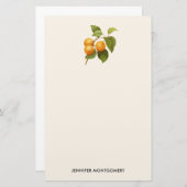  Oranje Abrikozen Waterverf Tekening Briefpapier (Voorkant / Achterkant)