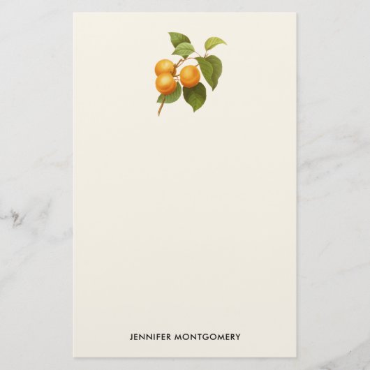  Oranje Abrikozen Waterverf Tekening Briefpapier (Voorkant)