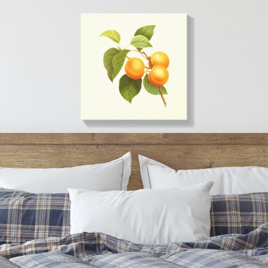 Oranje Abrikozen Waterverf Tekening Canvas Afdruk (Insitu (Slaapkamer))