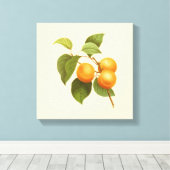  Oranje Abrikozen Waterverf Tekening Canvas Afdruk (Insitu (Houten vloer))