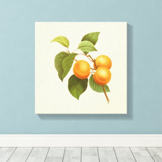 Oranje Abrikozen Waterverf Tekening Canvas Afdruk (Insitu (Houten vloer))