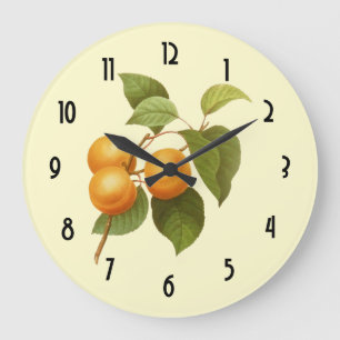  Oranje Abrikozen Waterverf Tekening Grote Klok