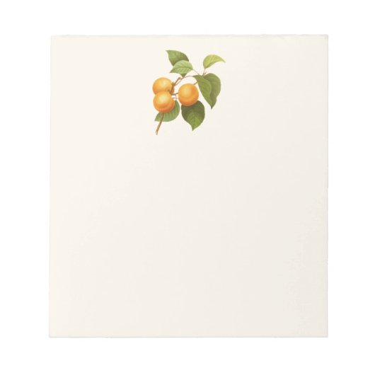  Oranje Abrikozen Waterverf Tekening Notitieblok (Voorkant)