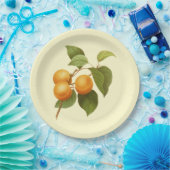  Oranje Abrikozen Waterverf Tekening Papieren Bordje (Feest)