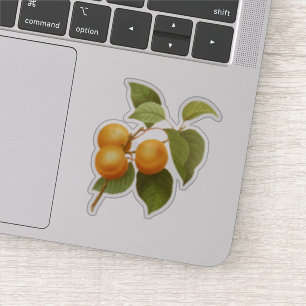 Oranje Abrikozen Waterverf Tekening Sticker