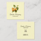  Oranje Abrikozen Waterverf Tekening Vierkante Visitekaartje (Voorkant / Achterkant)