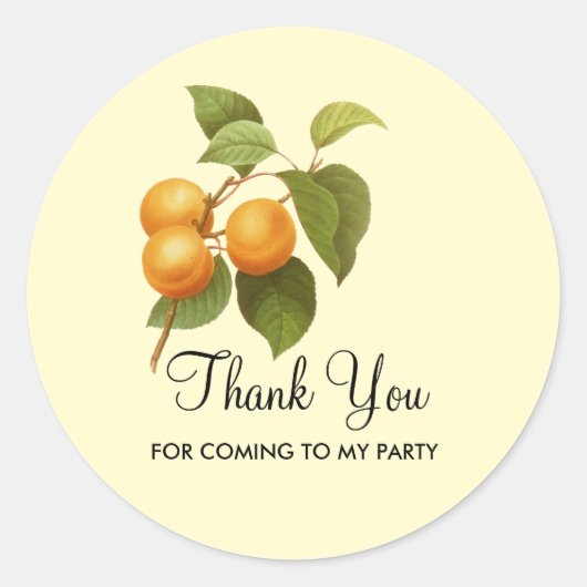  Oranje Abrikozen Waterverf Trekpartij Ronde Sticker (Voorkant)