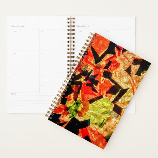 Oranje abstracte planner, Dubbele abstracte dekkin Planner (Display)