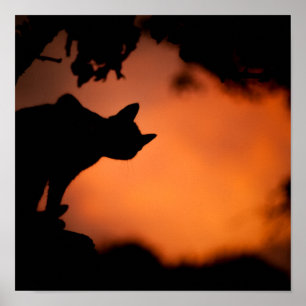Oranje achtergrond van Halloween Black Cat Aanpass Poster