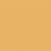 Oranje achtergrondstructuur gedempt voor web en af sticker (Voorkant)