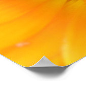 Oranje Afdruk van Flamingo in Macro Poster (Hoek)