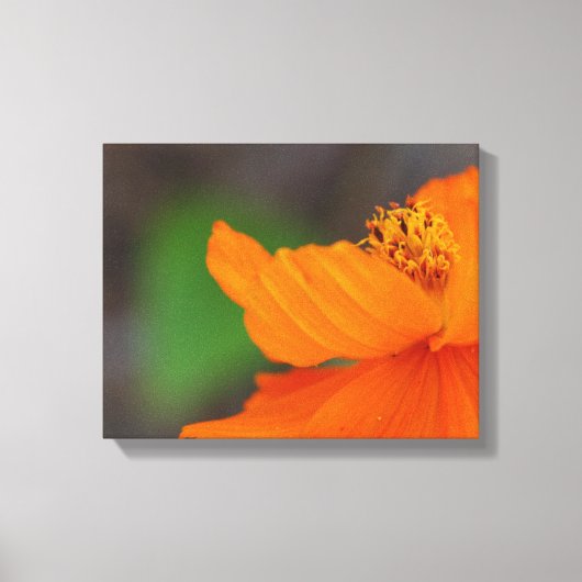 Oranje afdruk van Floral Canvas (Voorkant)