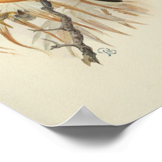  Oranje  afdrukken Poster (Hoek)