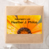 Oranje African Daisy close-up foto Etiket (Insitu)