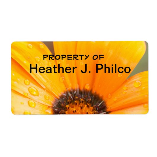 Oranje African Daisy close-up foto Etiket (Voorkant)