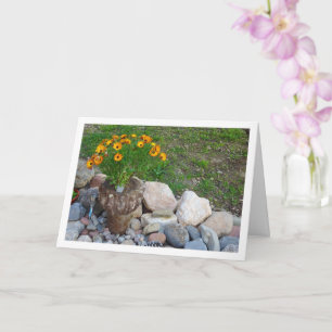 Oranje Afrikaans Daisies Portret Kaart