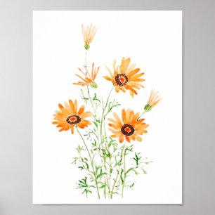 oranje Afrikaans wild madeliefje hand geschilderde Poster