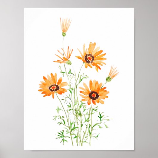 oranje Afrikaans wild madeliefje hand geschilderde Poster (Voorkant)