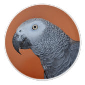 Oranje-Afrikaanse grijze papegaai Keramische Knop (Voorkant)