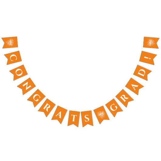 Oranje | Afstudeerder-inktvlaggen met vuurwerk Vlaggetjes (Alle)